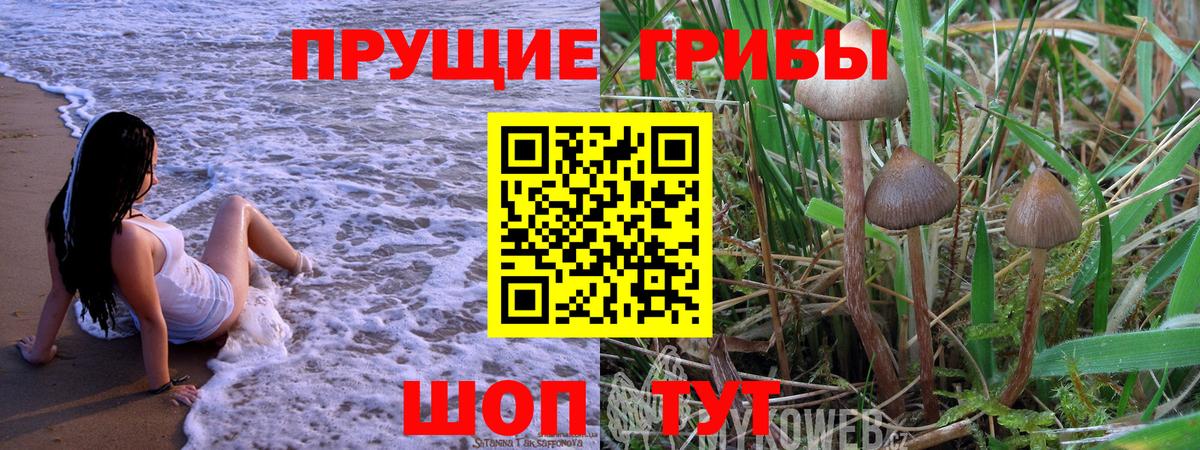 Галлюциногенные грибы прущие грибы Рославль