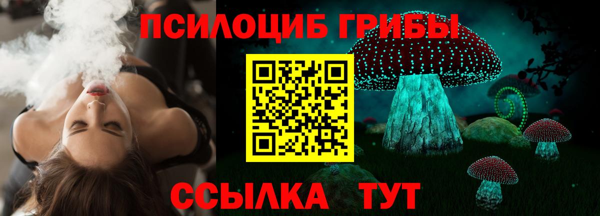 Псилоцибиновые грибы прущие грибы  что такое наркотик  Рославль  Вход с VPN 